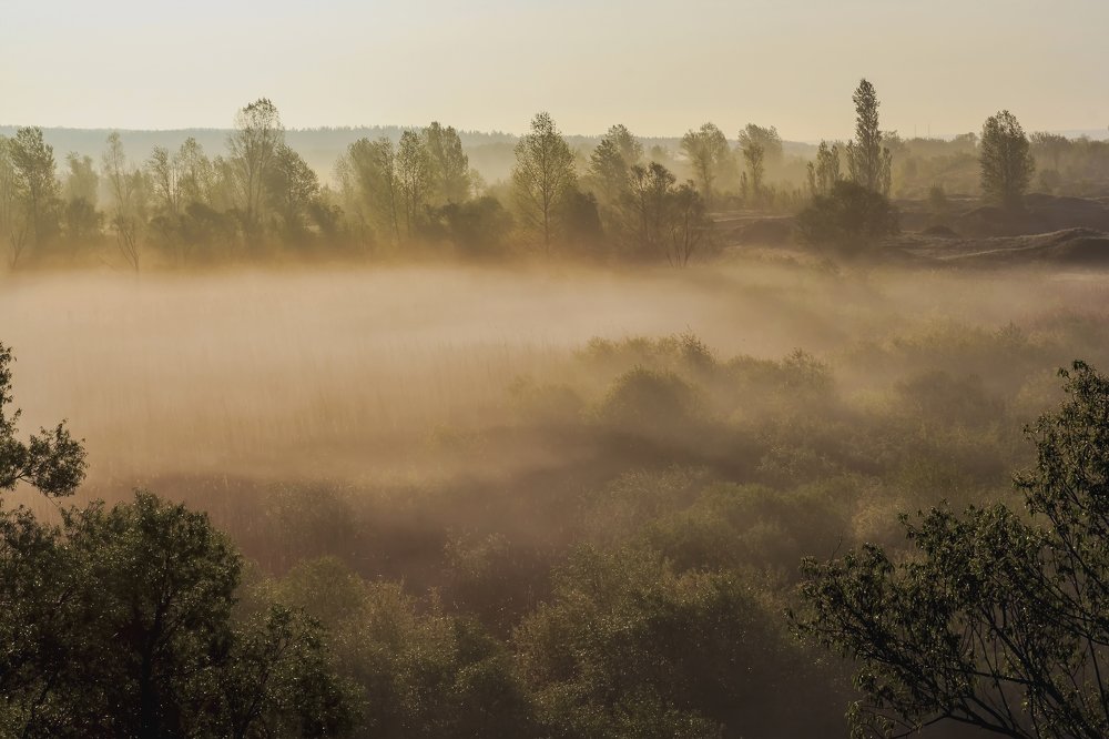 Облако тумана..