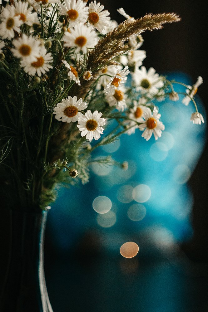 Photograph by Вера Пьянцева