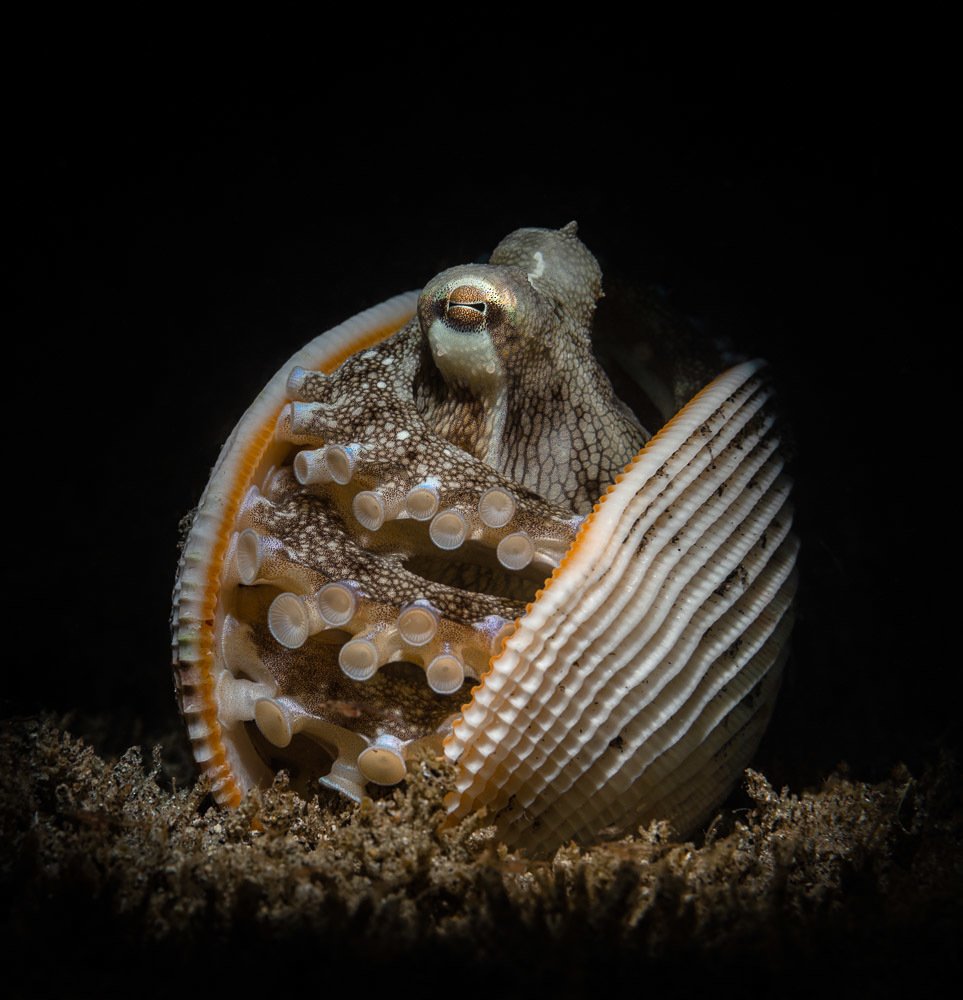 Photograph by Андрей Савин