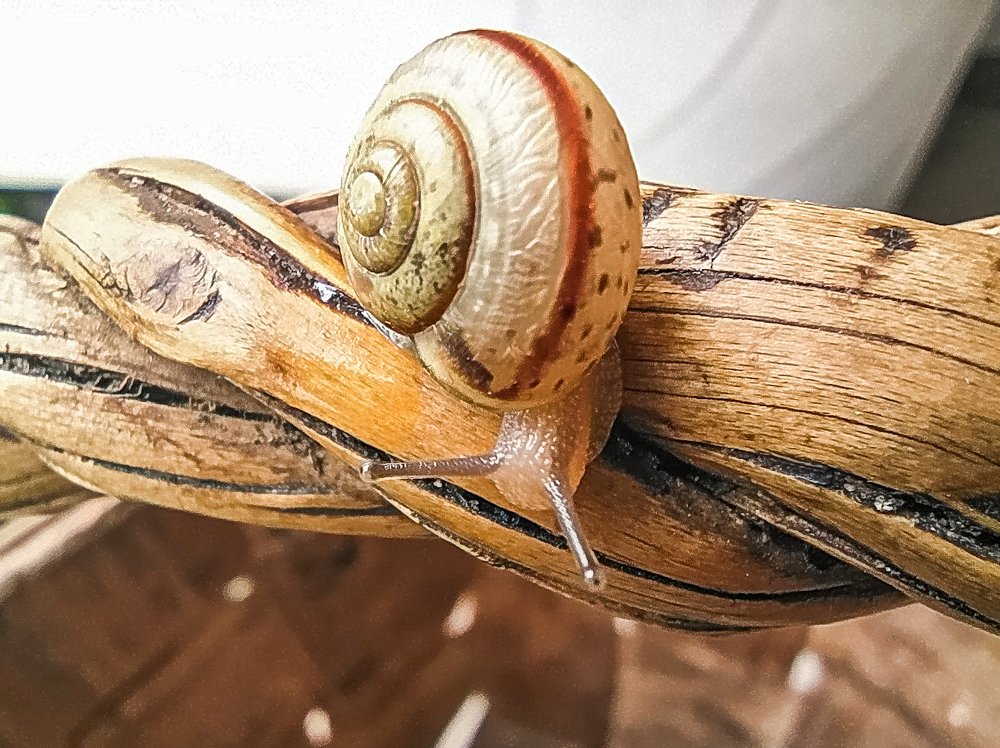 Photograph by Владимир Каменев