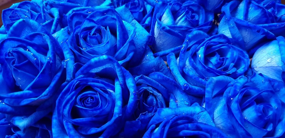 Photograph by Svetlana Toropoviene