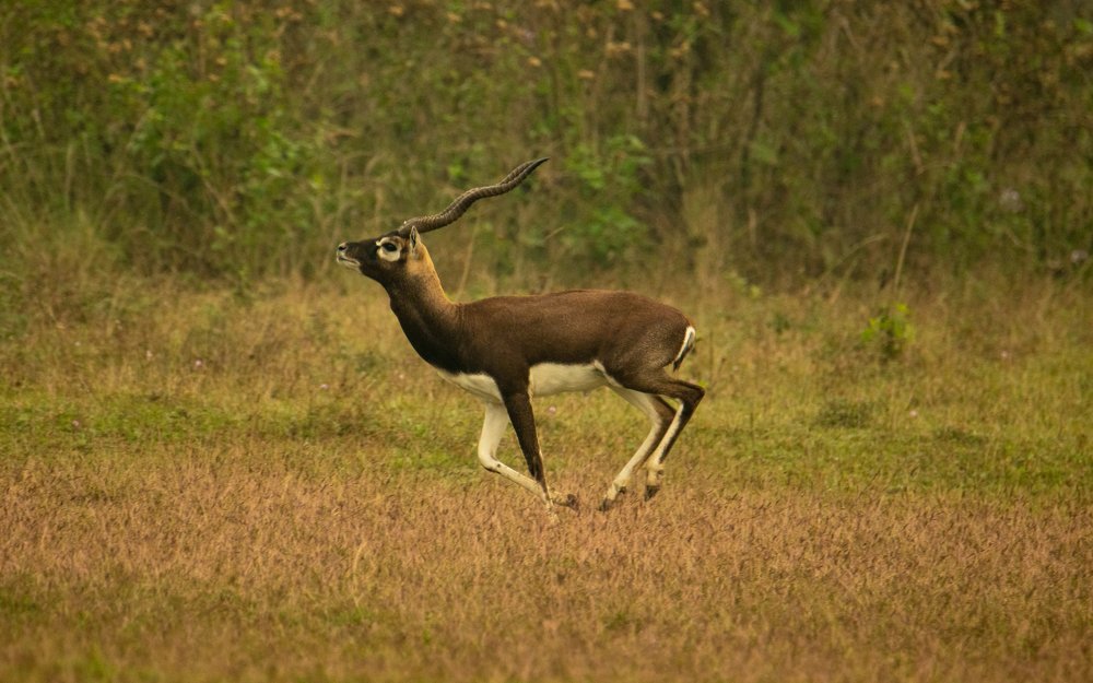 Photograph by Nabarun Majumdar