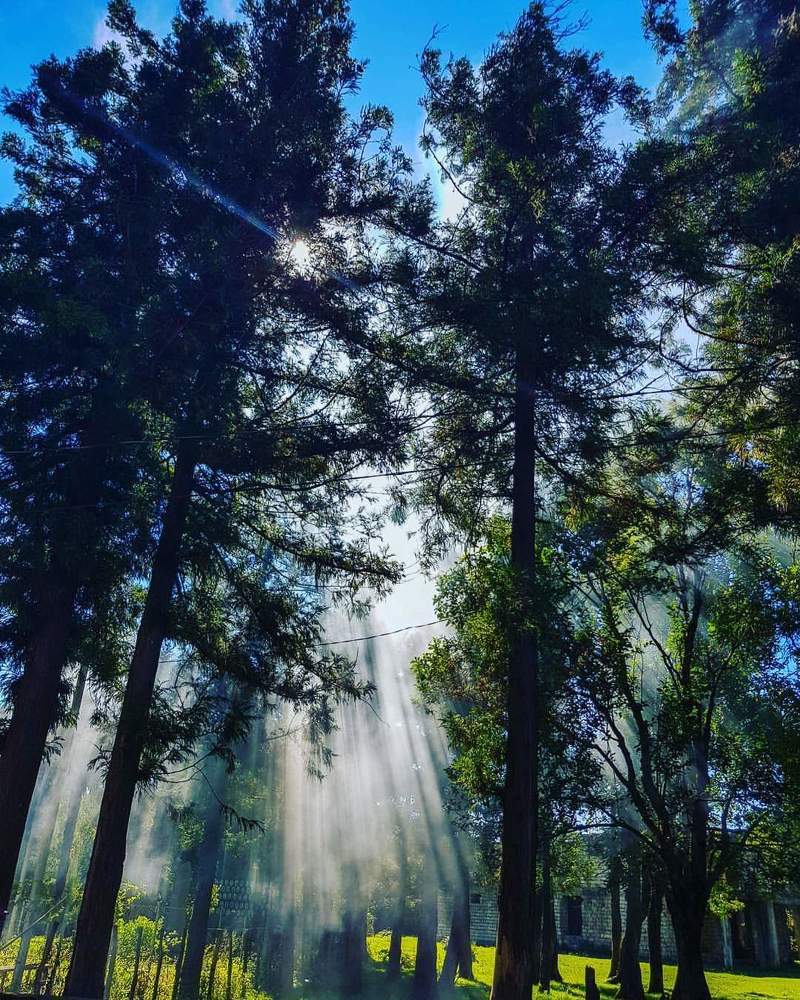 Фотография автора Nani Matua