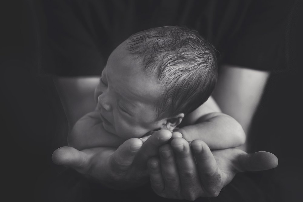 Photograph by Анна Конорова