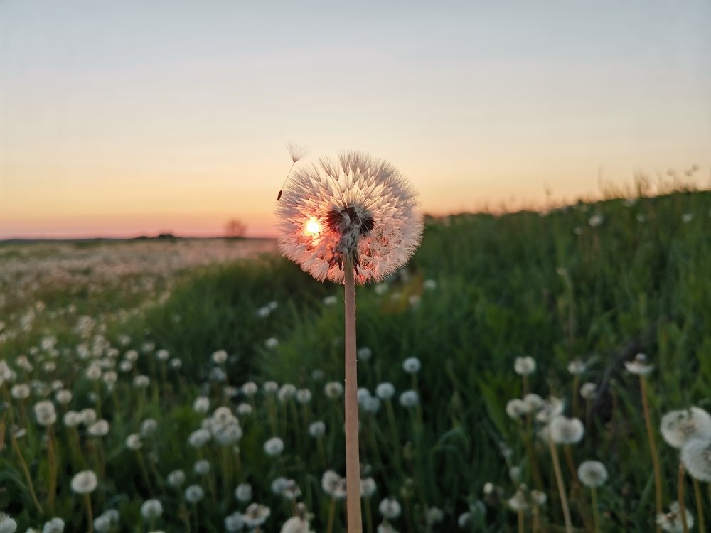Photograph by Андрей Тюликов