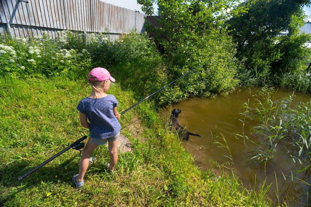 Photograph by Александр Силинский