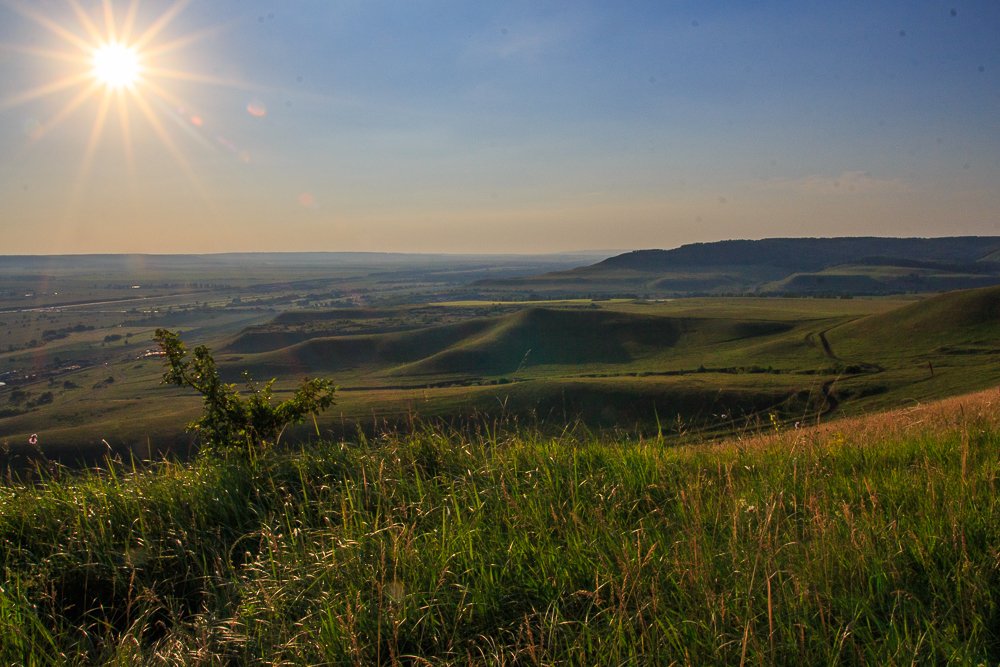 Photograph by Екатерина Здобнова