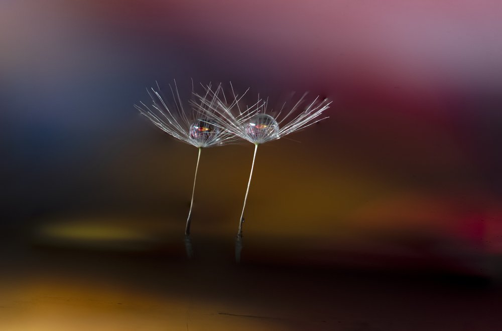 Photograph by Banu Nazikcan