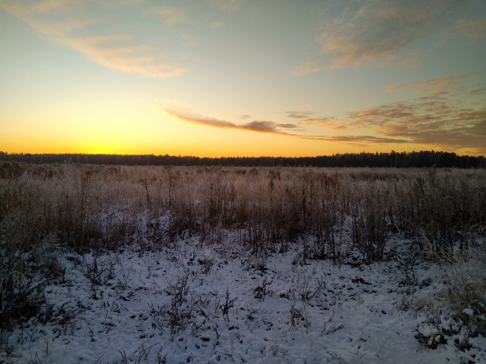 Photo #4763614