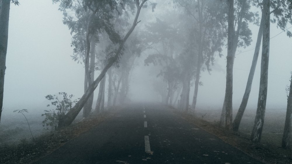 Photograph by Somesh Dey