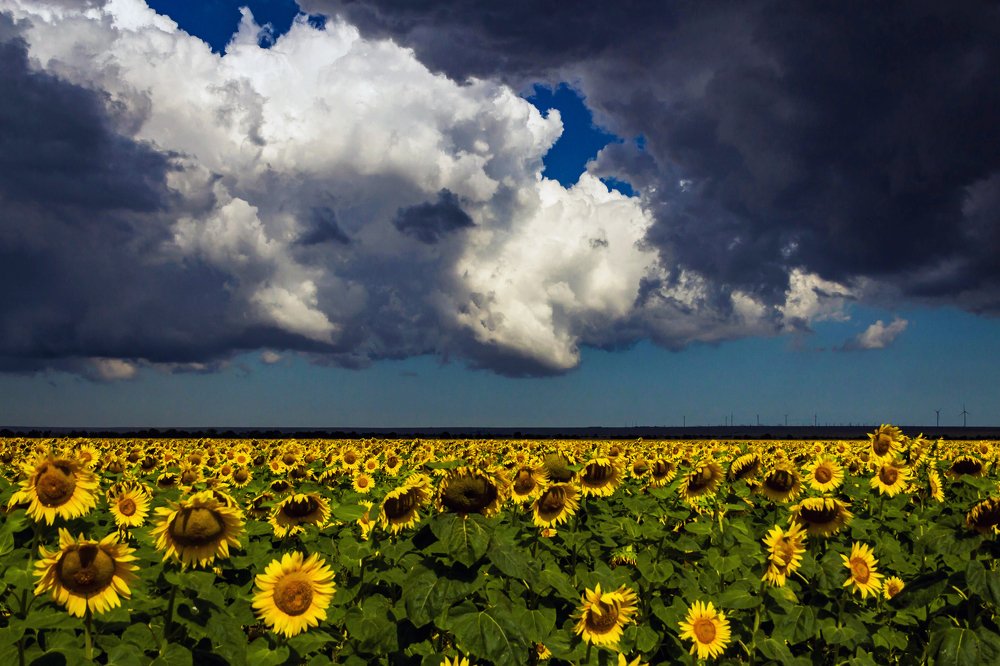 Степь перед грозой