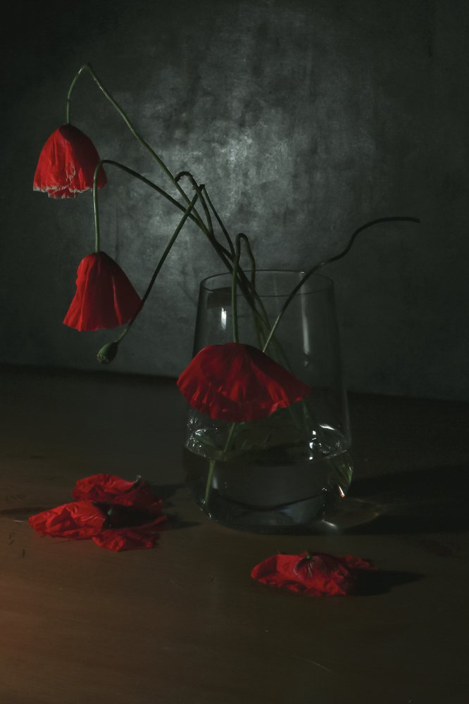 Photograph by Evgeniya Gribova