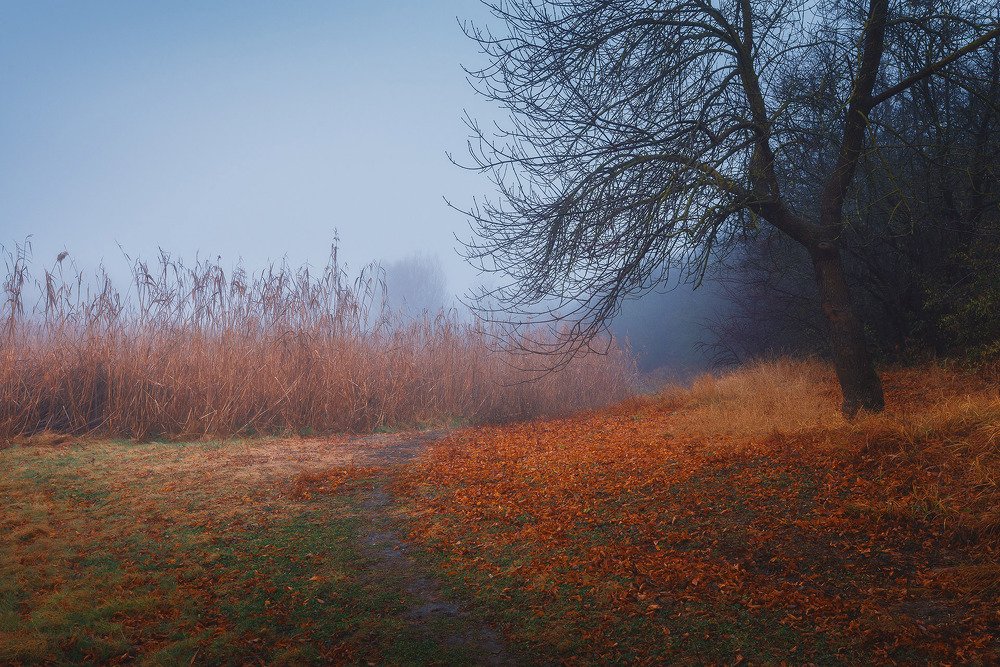 Photograph by Oleg Feofanov