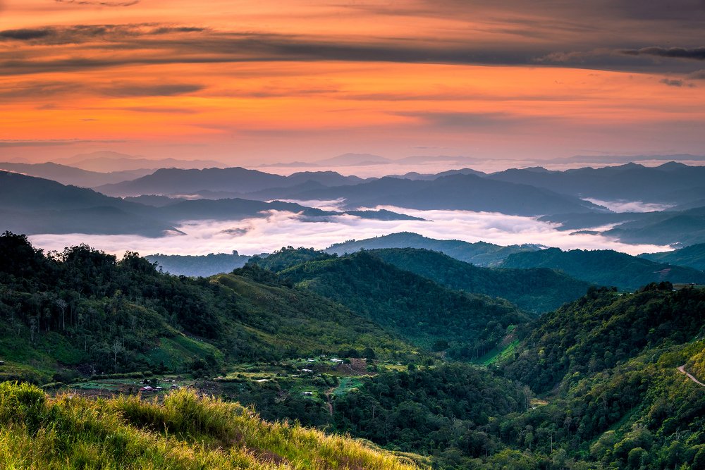 Photograph by KL Chong