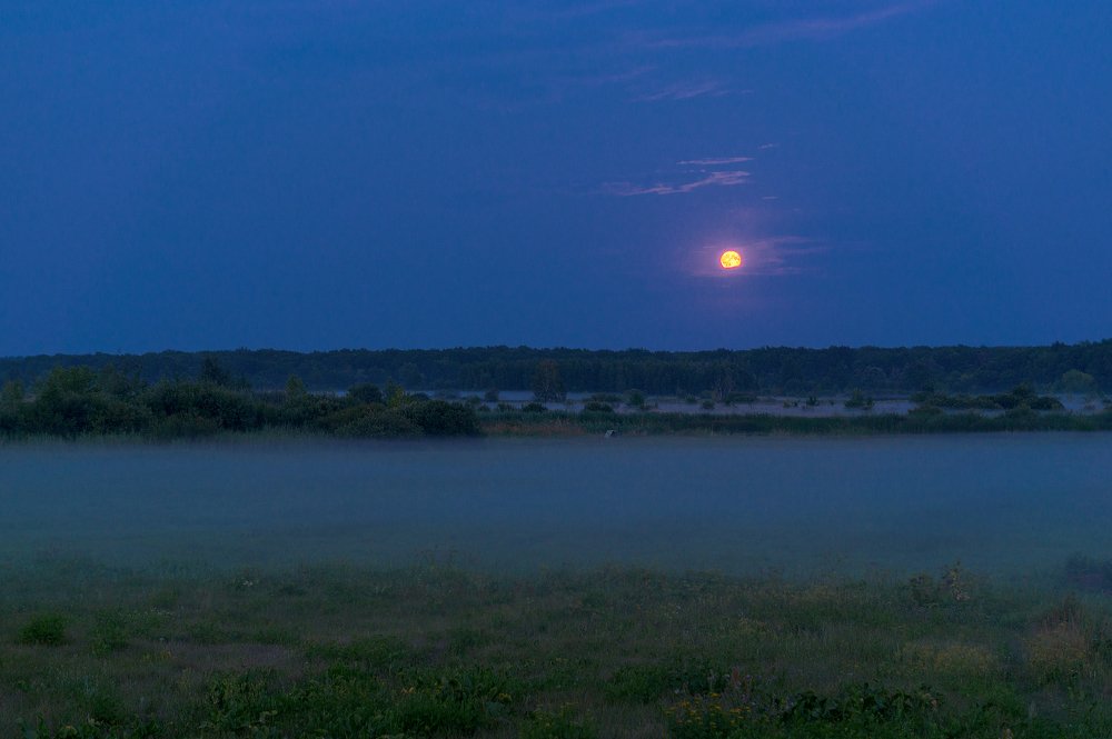 Photograph by Максим А.О.