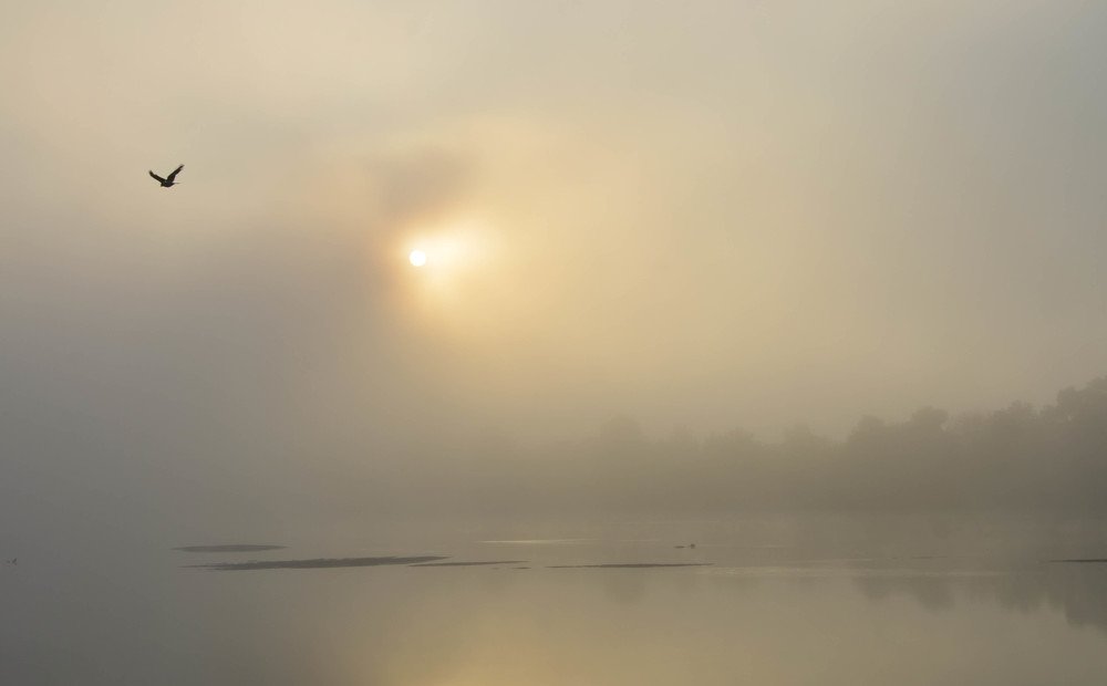 Photograph by Анастасия Кашенко