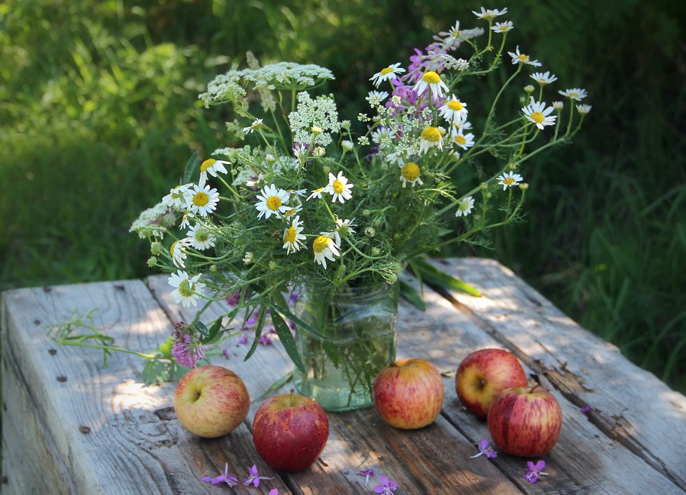 Photograph by Виталий Першин