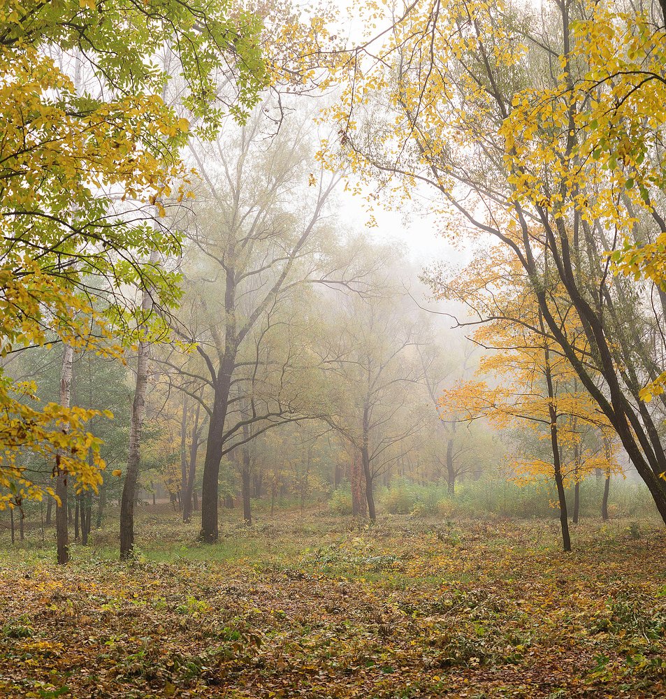 Photograph by Максим А.О.