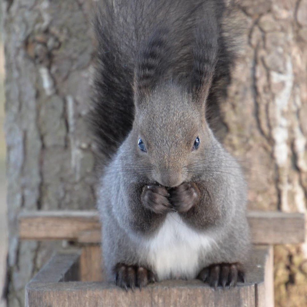Фотография автора Станислав Ермолин