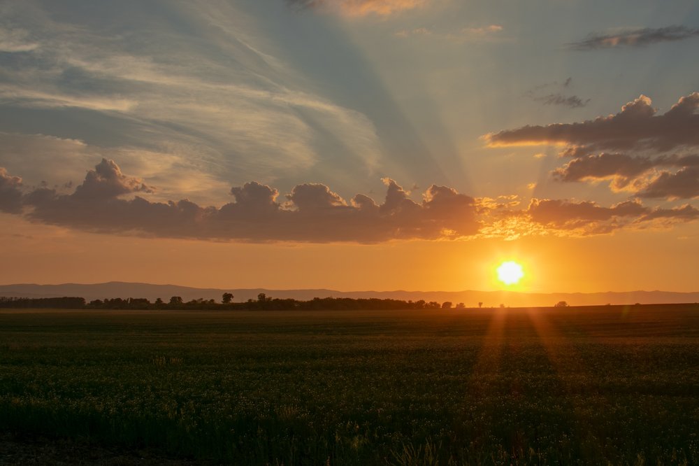 Photograph by Валерий Шорохов