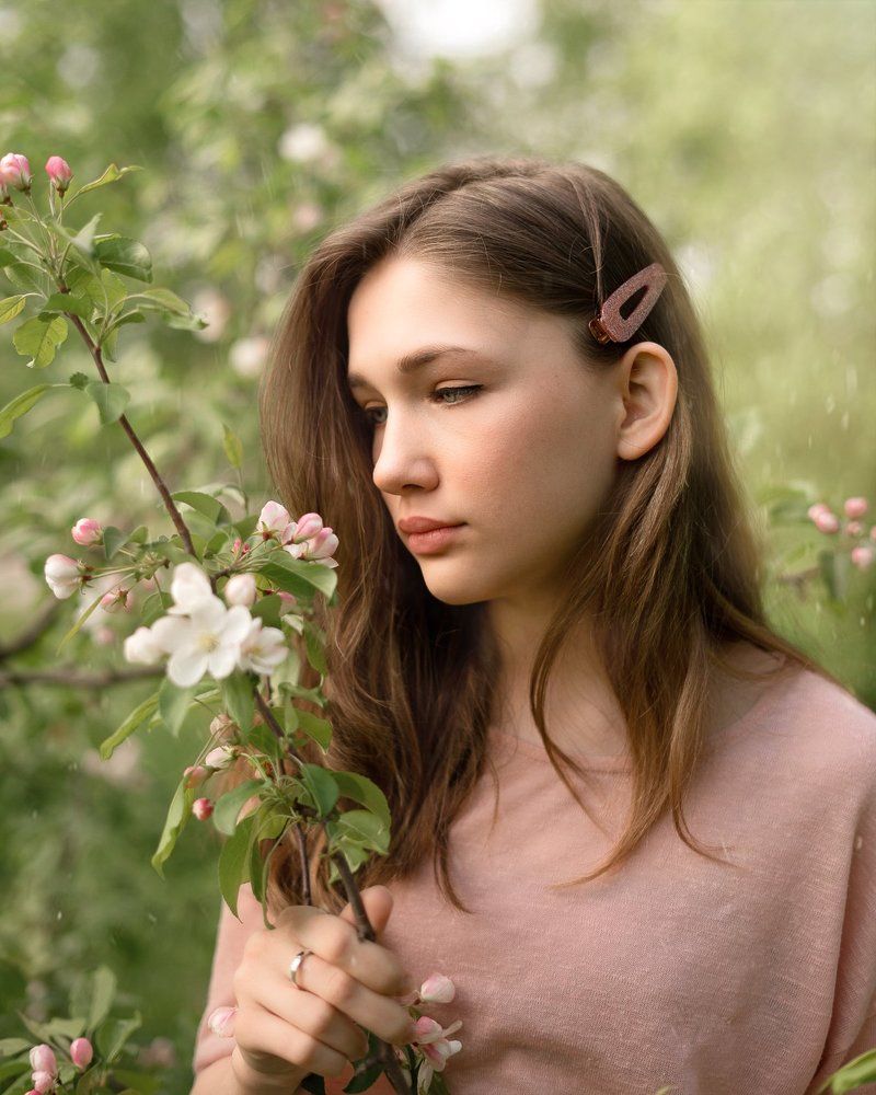 яблони цветут