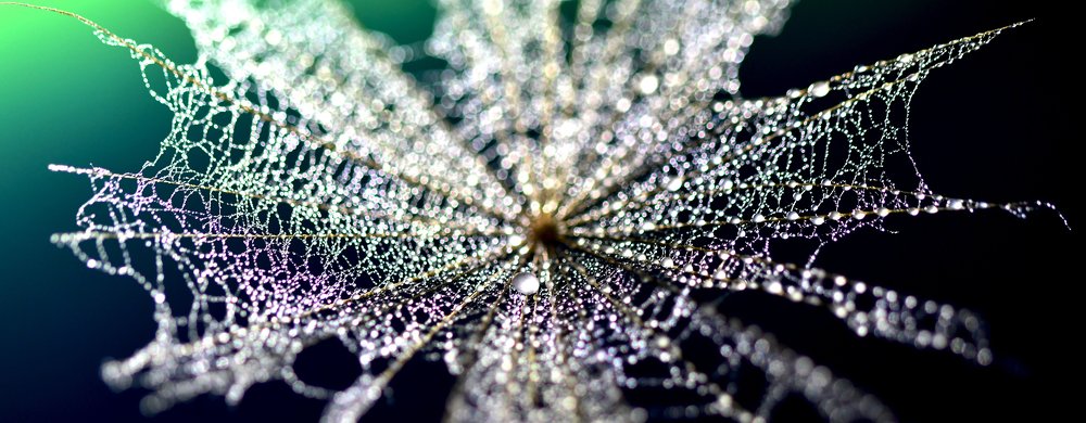 Photograph by Сергей Шипулин