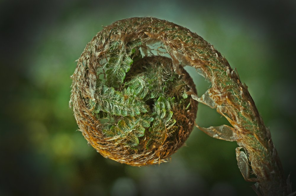 Photograph by Мария Загоревская