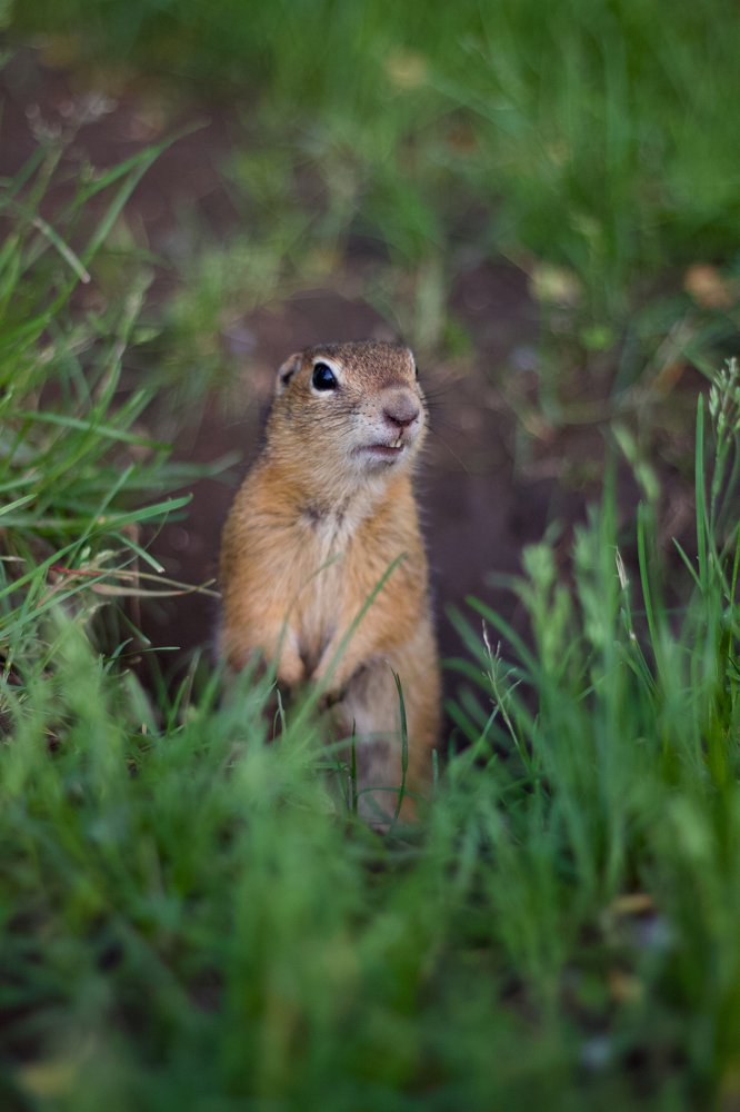 Photograph by Анастасия Полищук