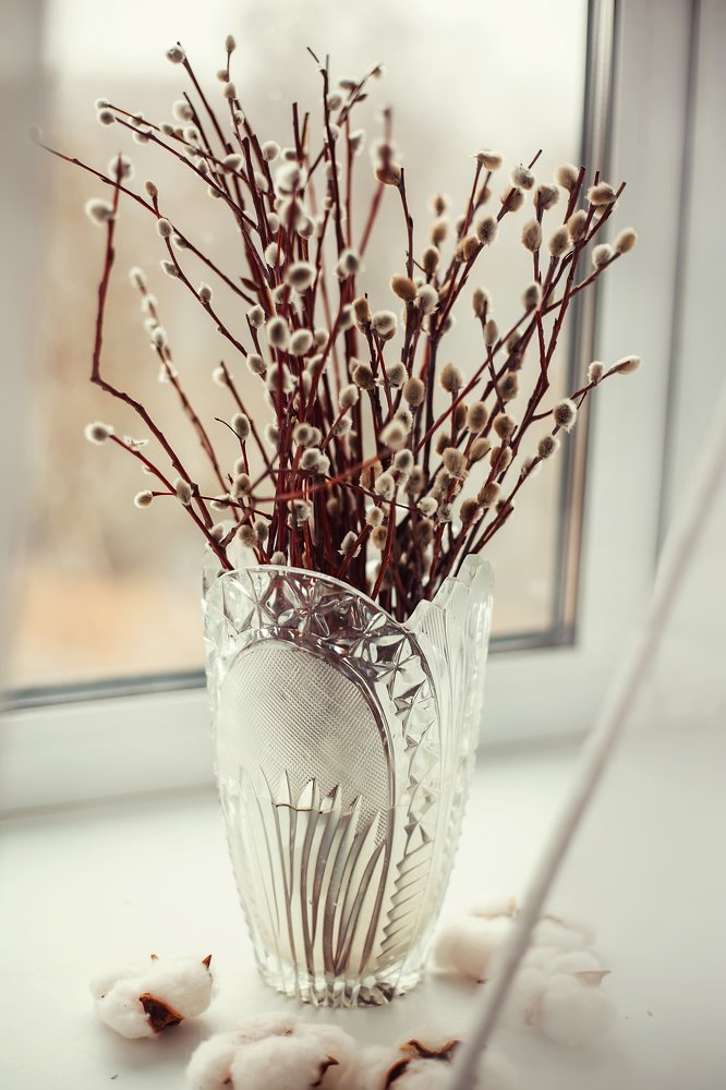 Photograph by Ольга Додонова