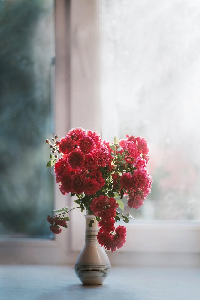 Photograph by Ольга Додонова