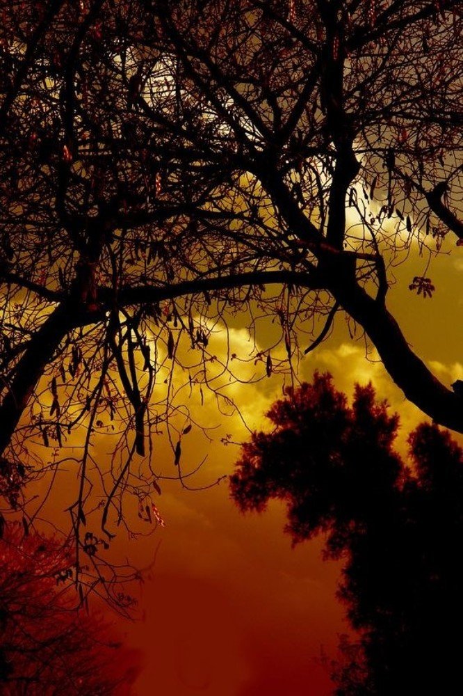 Photograph by علي الساعدي