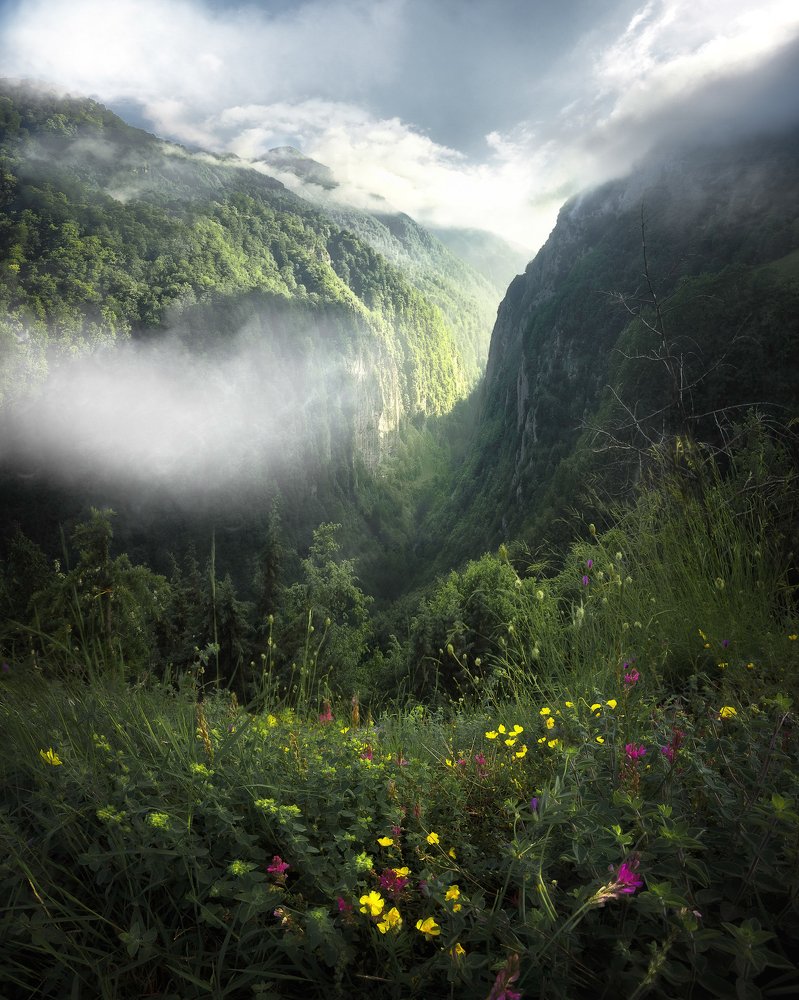 Фотография автора Shahram Hafezi