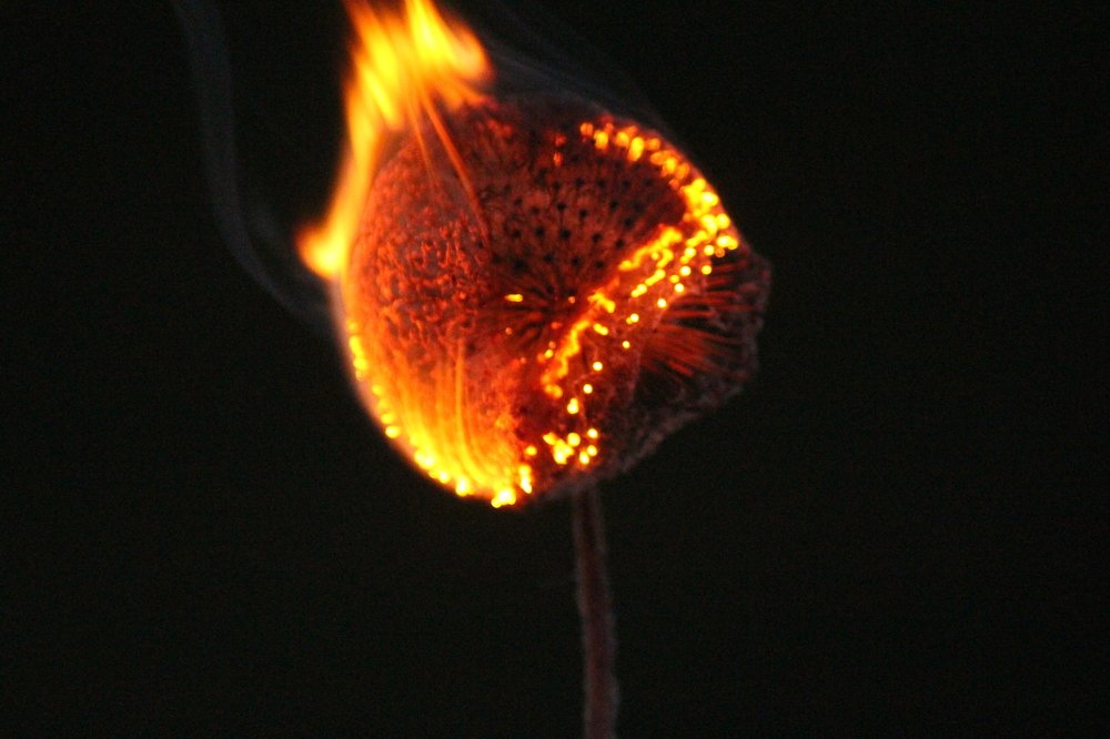 Photograph by Валентина