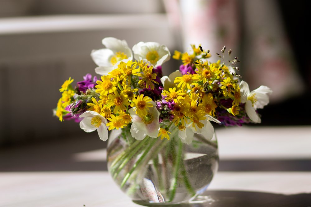 Photograph by Оксана Корчагина