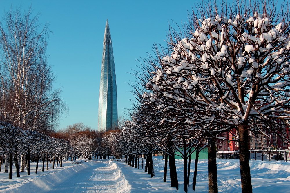 Зимний день.