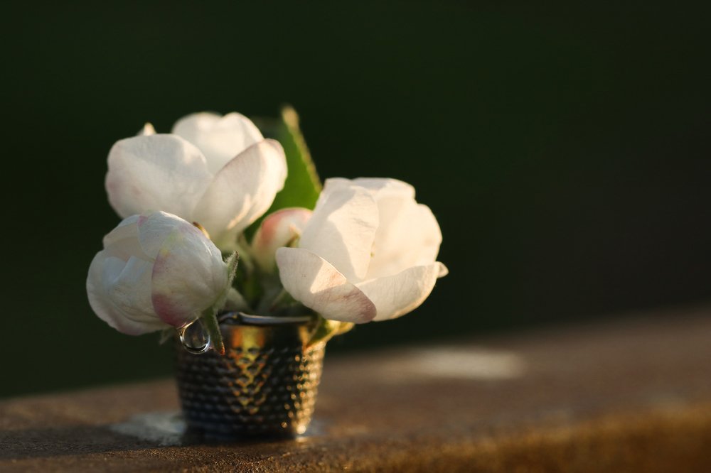 Photograph by Людмила Аксенова