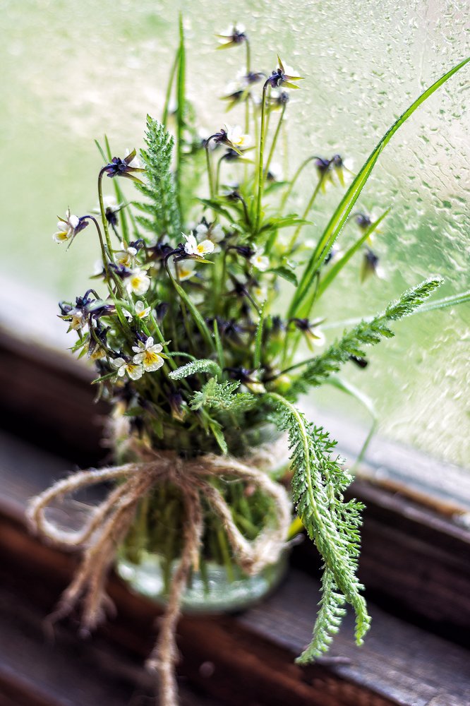 Photograph by Елена Стещенко