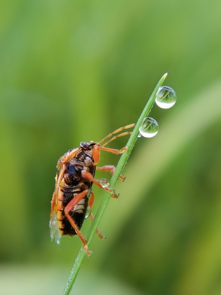 Photograph by Faiyal Ahmed