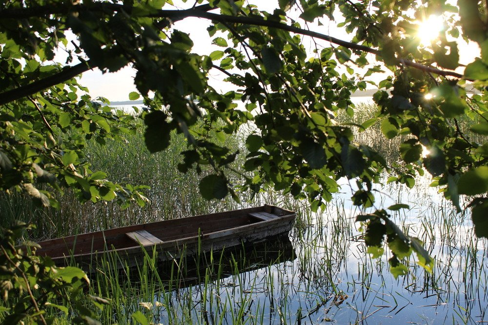 Photograph by Илона Шпака