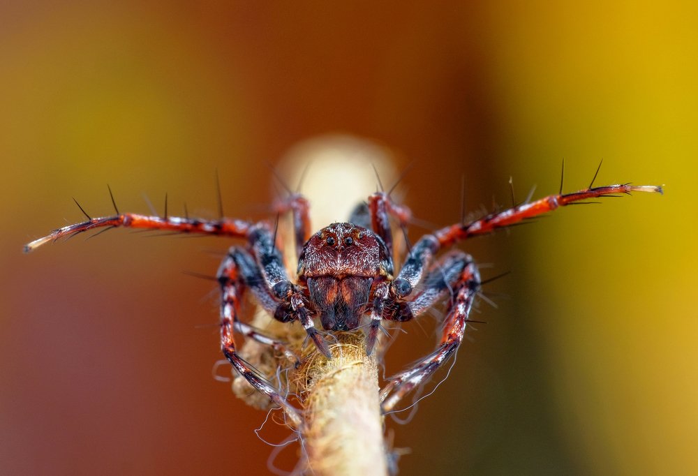 Photograph by Chuah Christopher