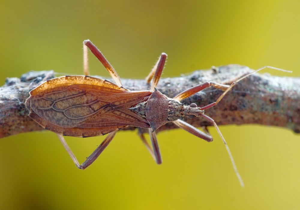 Photograph by Chuah Christopher