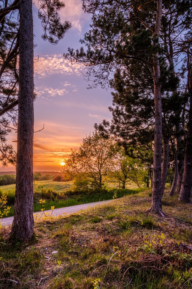 Spring in the countryside