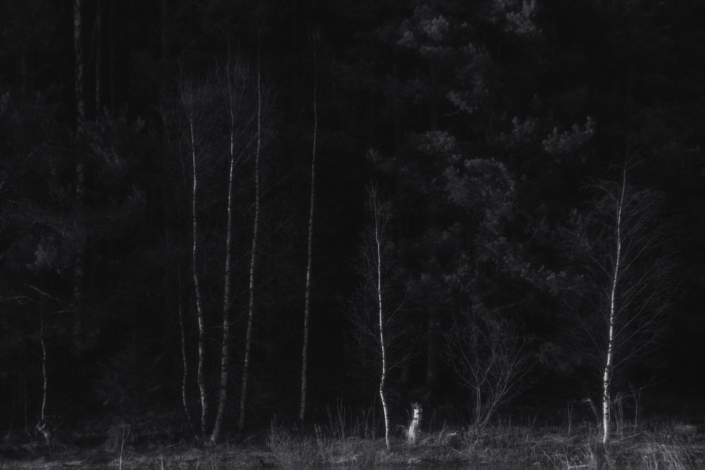 Photograph by Сергей Шмелев