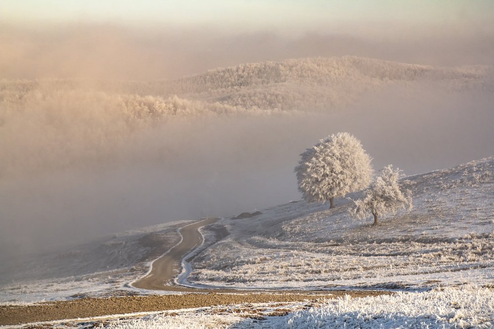 Photograph by Negru Flaviu