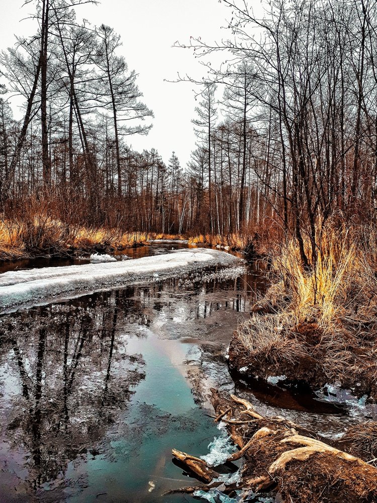 Приближение весны