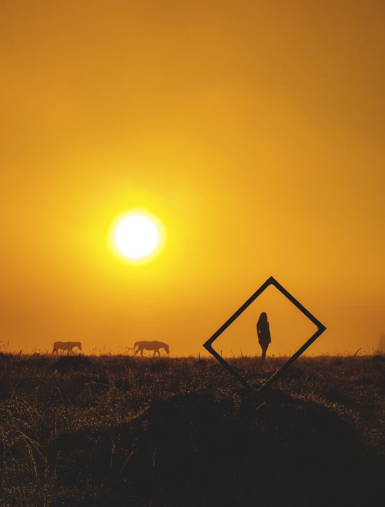 Photograph by Negru Flaviu