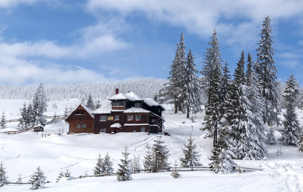 Photograph by Negru Flaviu