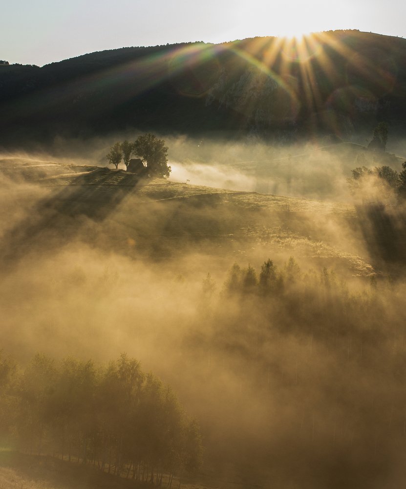 Photograph by Negru Flaviu