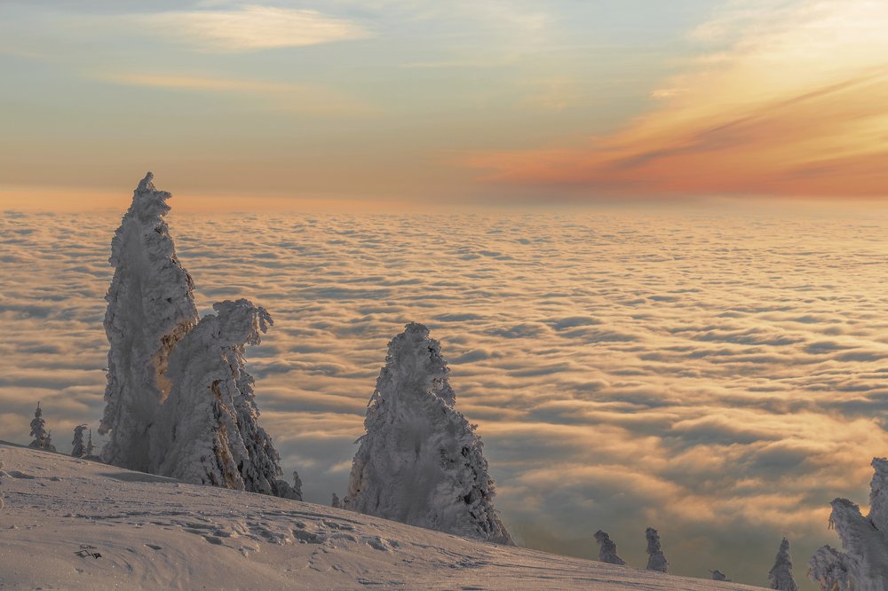 Photograph by Negru Flaviu