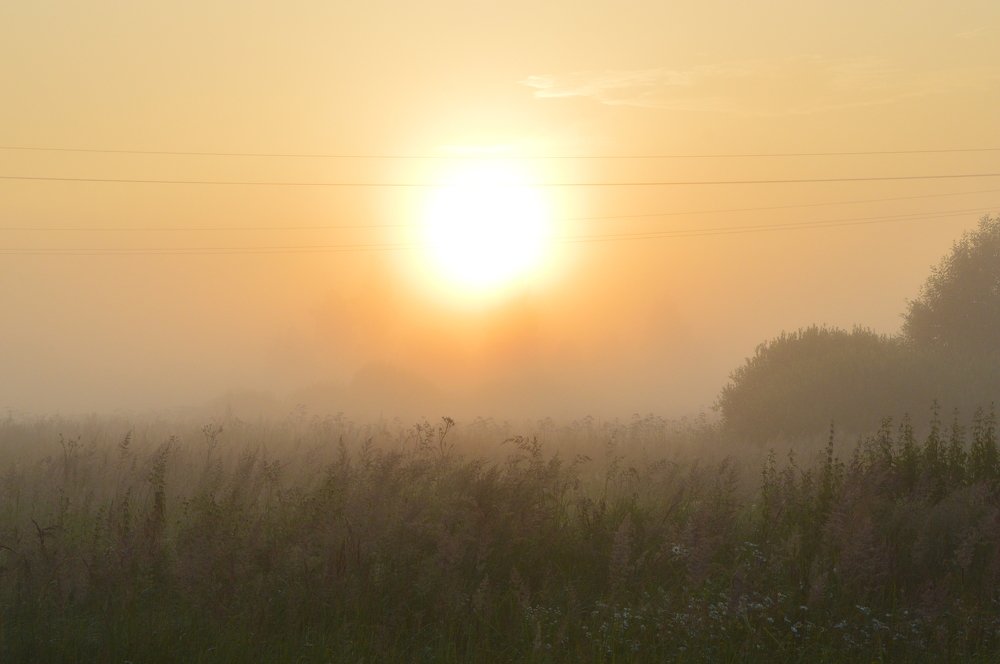 Photograph by Nadezhda Rav